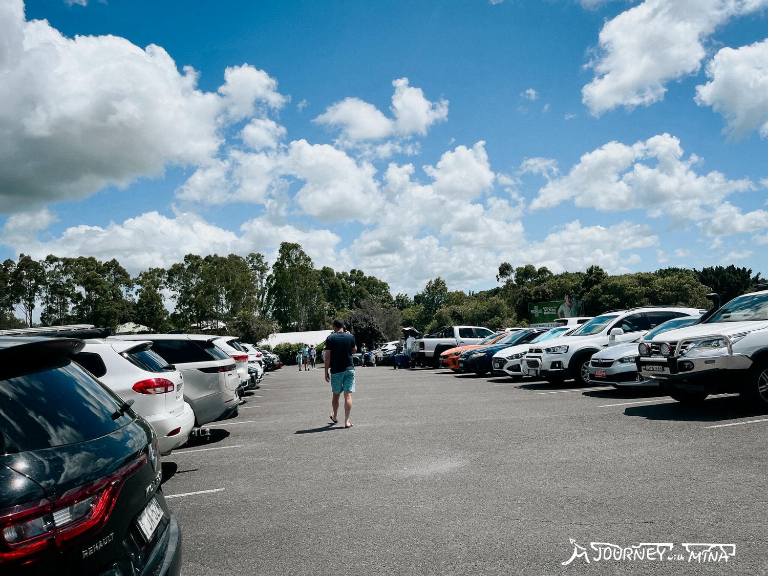 【澳洲動物園推薦】全澳最大Australia Zoo 門票、表演、交通全攻略!鱷魚先生、抱無尾熊、非洲動物 - 第5張圖
