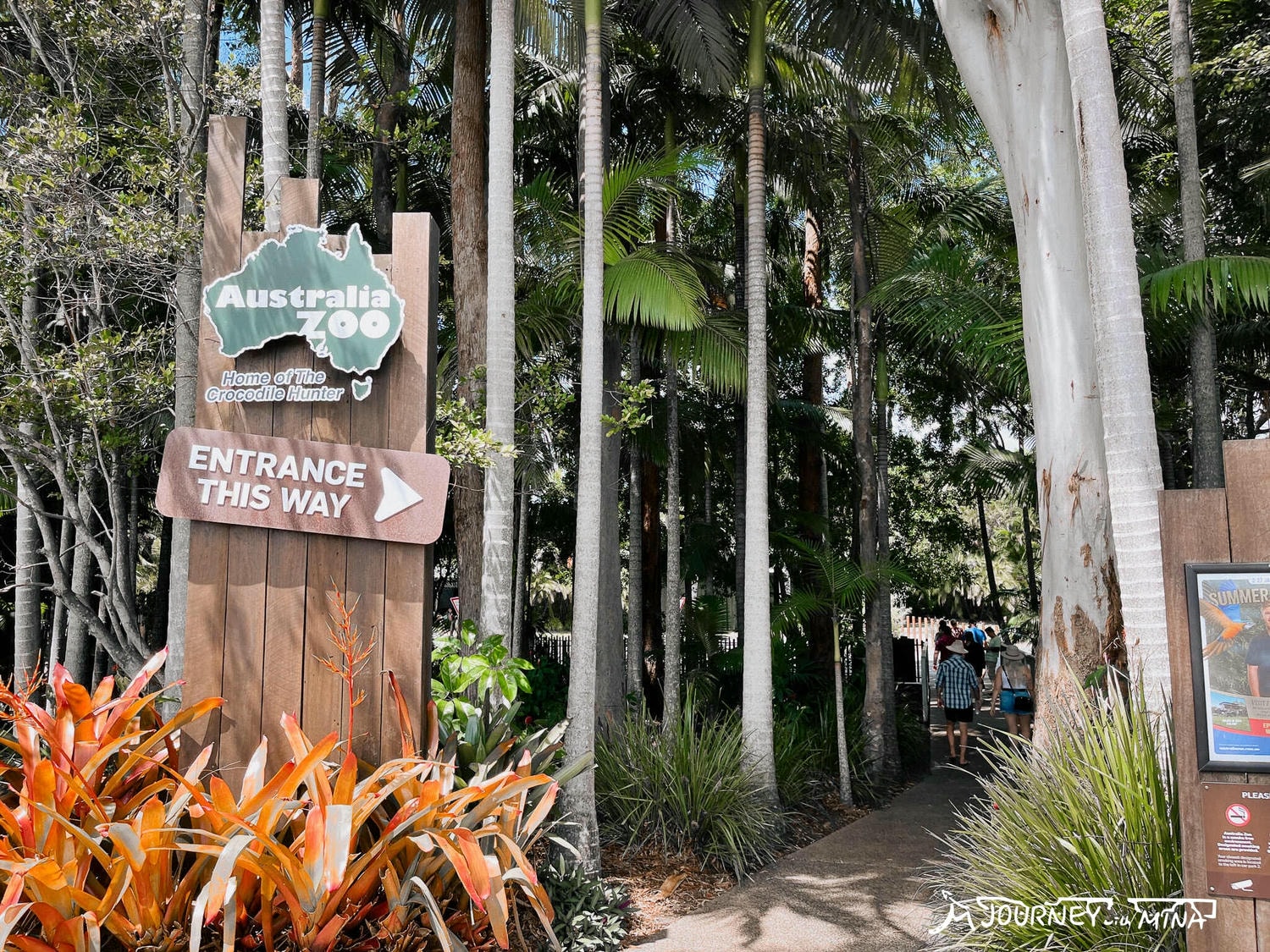 【澳洲動物園推薦】全澳最大Australia Zoo 門票、表演、交通全攻略!鱷魚先生、抱無尾熊、非洲動物 - 第4張圖