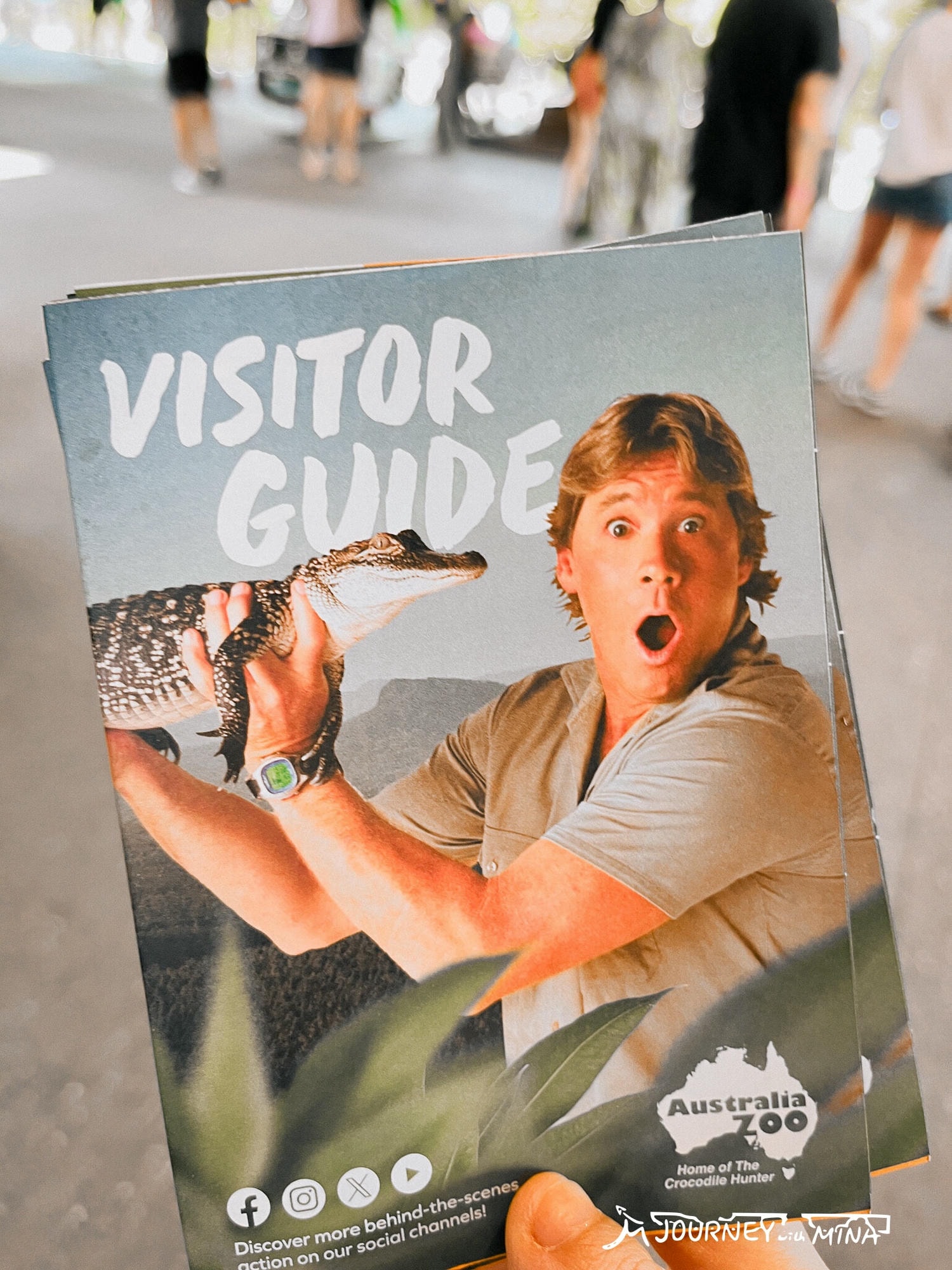 【澳洲動物園推薦】全澳最大Australia Zoo 門票、表演、交通全攻略!鱷魚先生、抱無尾熊、非洲動物 - 第6張圖