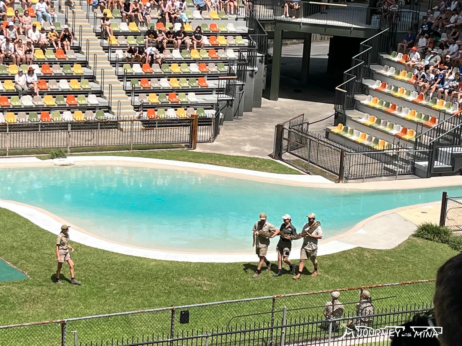 【澳洲動物園推薦】全澳最大Australia Zoo 門票、表演、交通全攻略!鱷魚先生、抱無尾熊、非洲動物 - 第8張圖