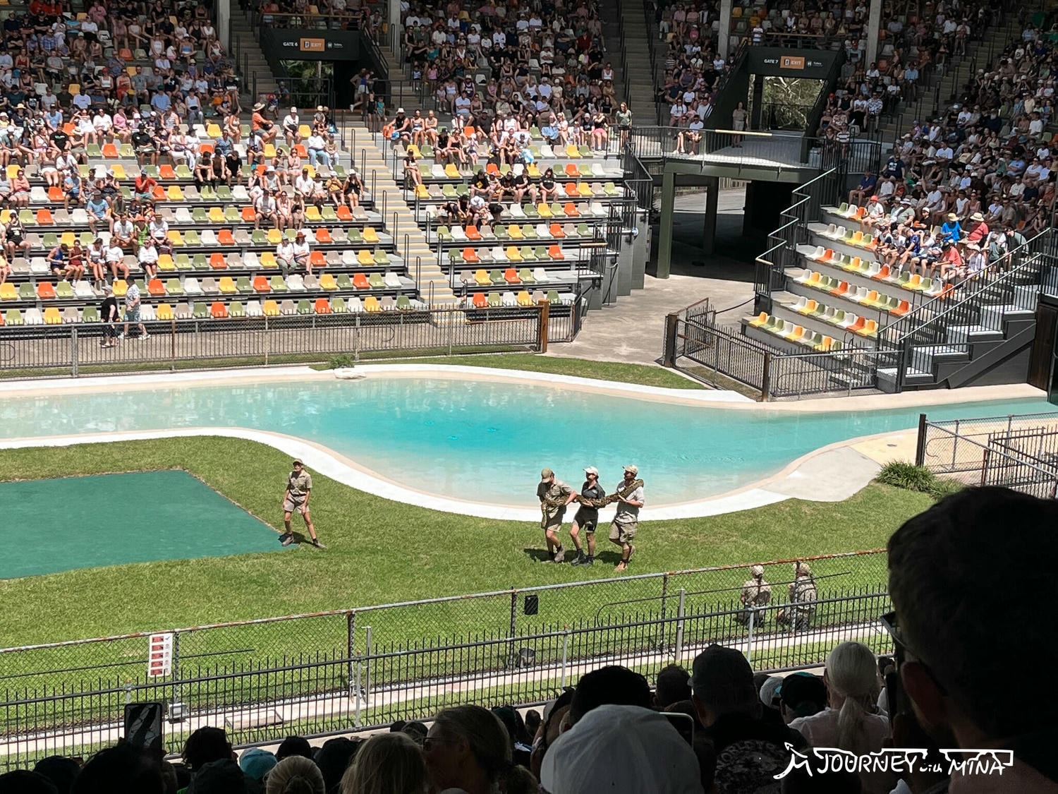 【澳洲動物園推薦】全澳最大Australia Zoo 門票、表演、交通全攻略!鱷魚先生、抱無尾熊、非洲動物 - 第7張圖