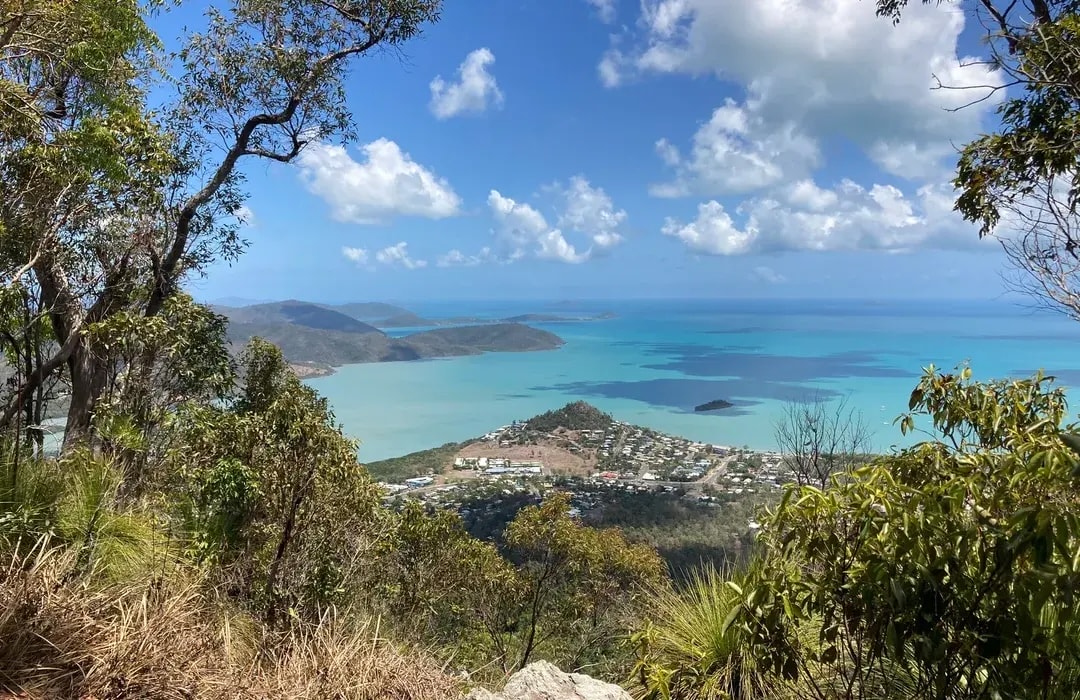 Honeyeater Lookout Trail 步道