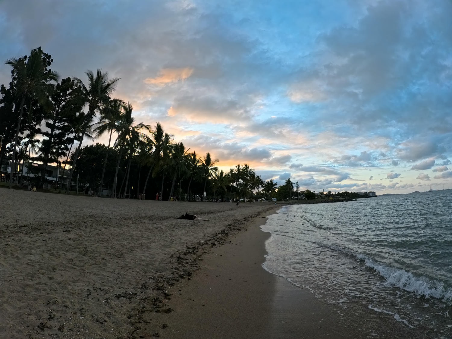 Airlie beach 景點推薦