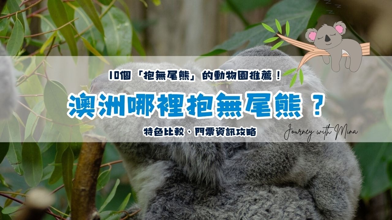 澳洲10個「抱無尾熊」的動物園推薦!特色比較、門票資訊攻略