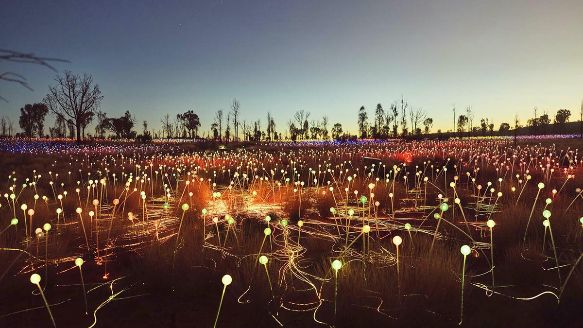 【烏魯魯光展】必去體驗 Field of Light 星野之園多值得去? - 第6張圖