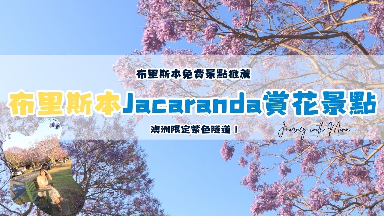 澳洲布里斯本藍花楹Jacaranda賞花景點推薦！9-11月限定紫色隧道！