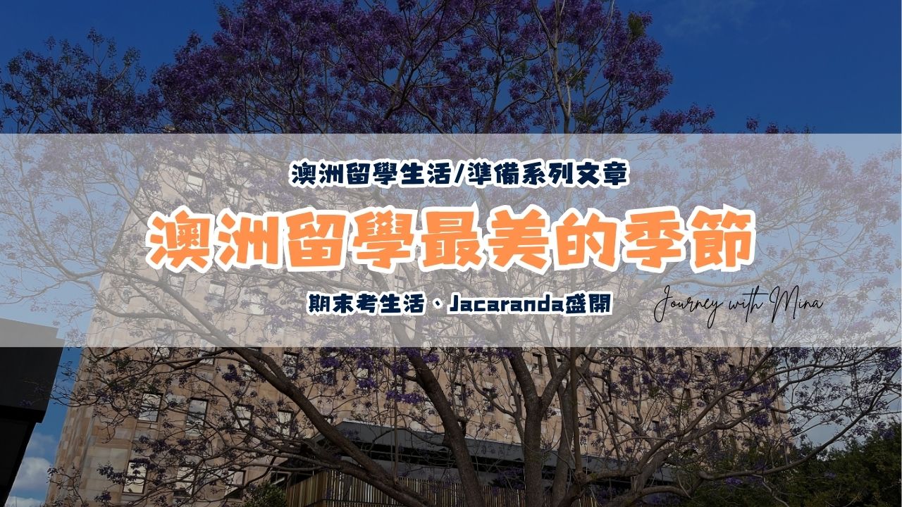 澳洲留學最美的季節Jacaranda藍花楹盛開的春天bloom festival＆留學生的期末考月都在忙些什麼？