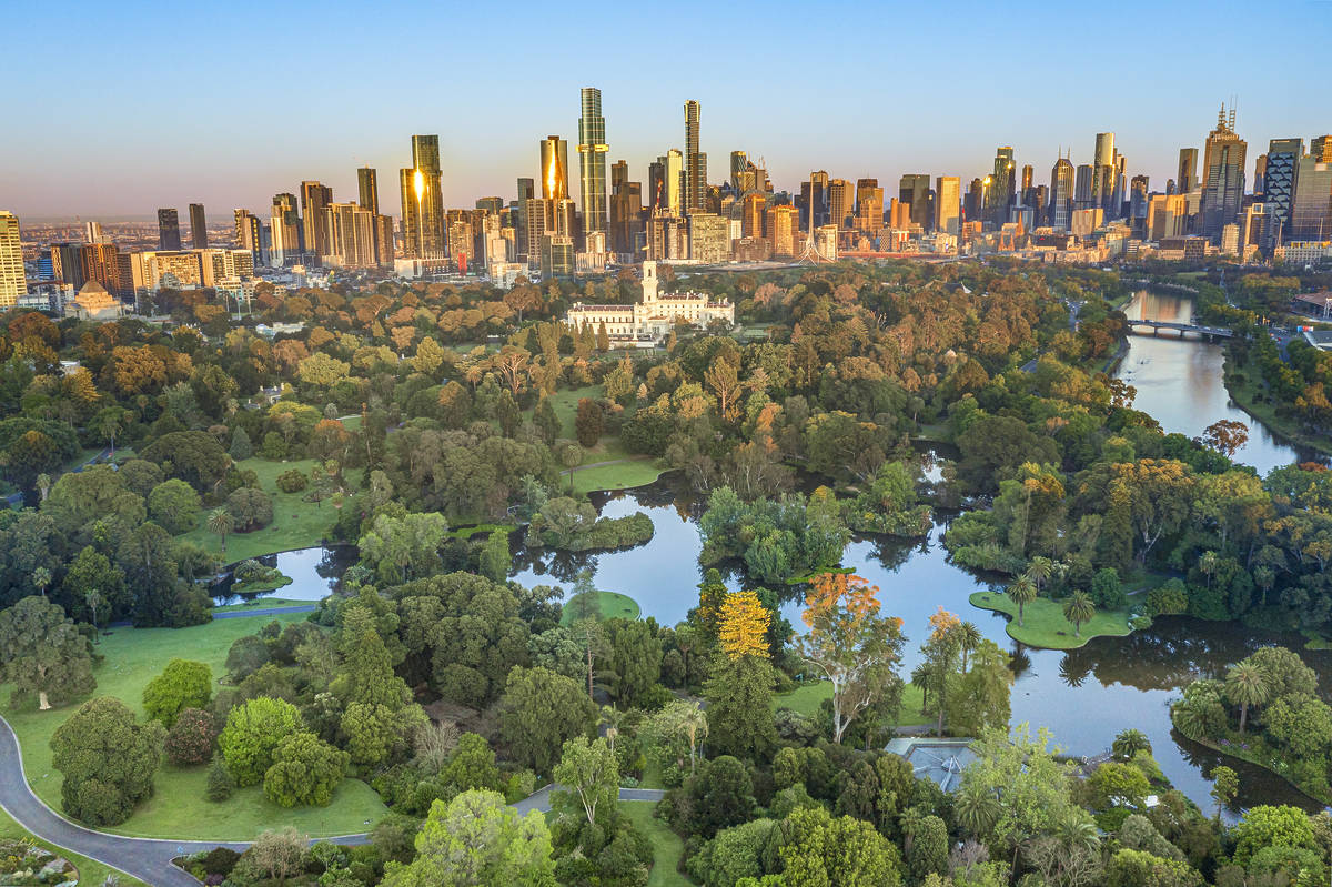 墨爾本皇家植物園 Royal botanic garden