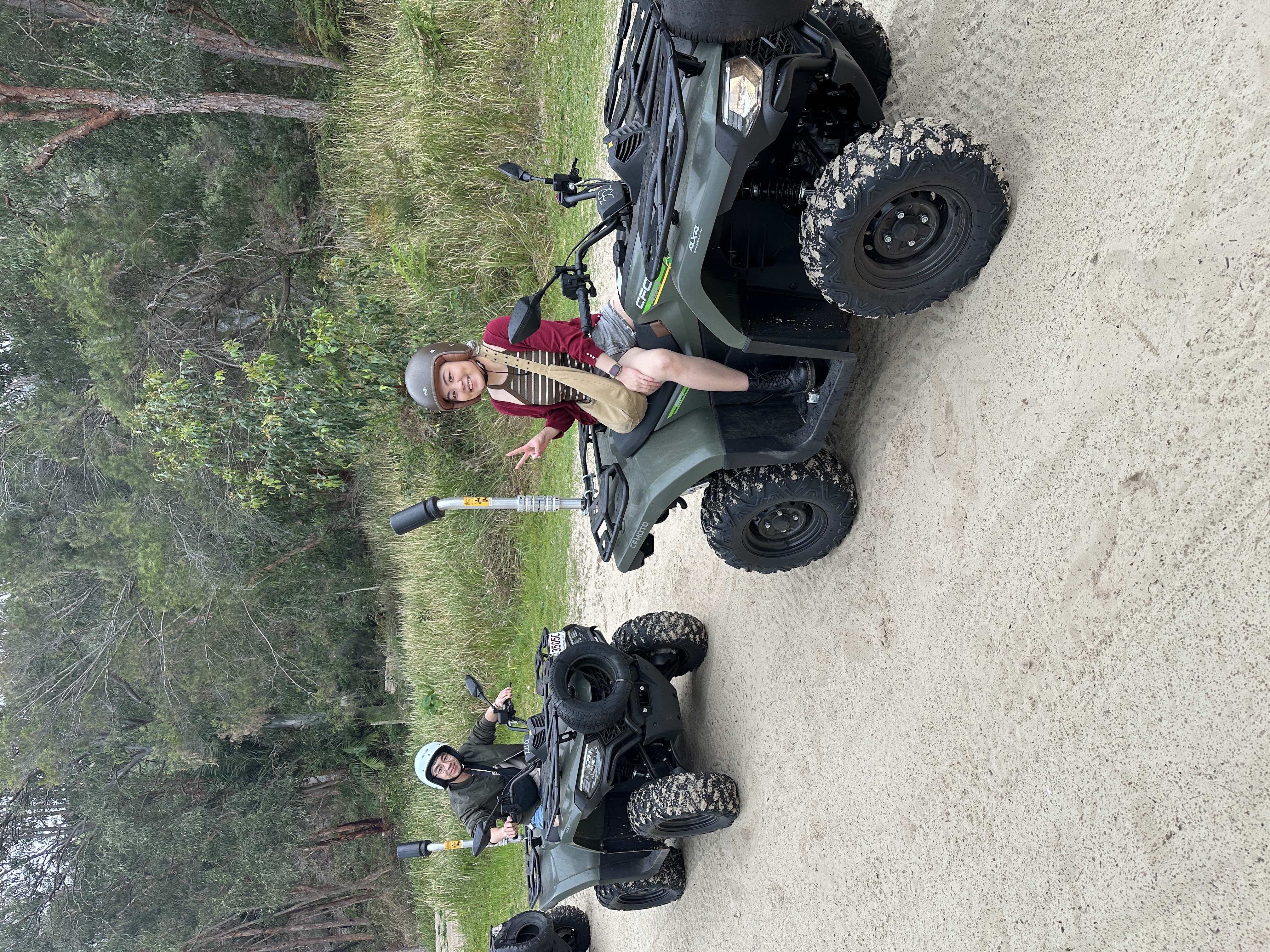 【摩頓島一日遊】一生必去餵海豚行程!船票/交通/必玩行程/住宿攻略Tangalooma island resort - 第20張圖
