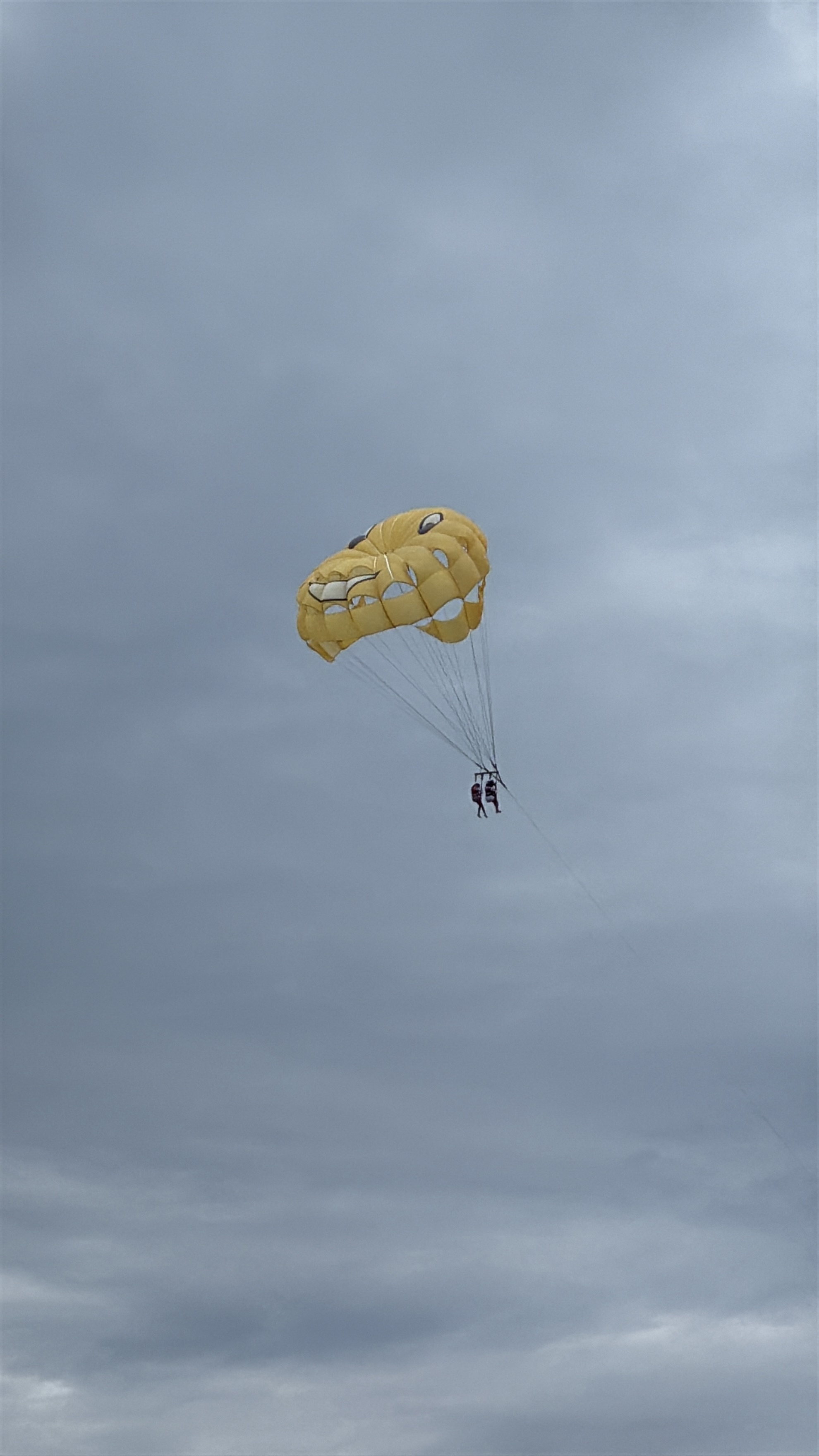 【摩頓島一日遊】一生必去餵海豚行程!船票/交通/必玩行程/住宿攻略Tangalooma island resort - 第22張圖