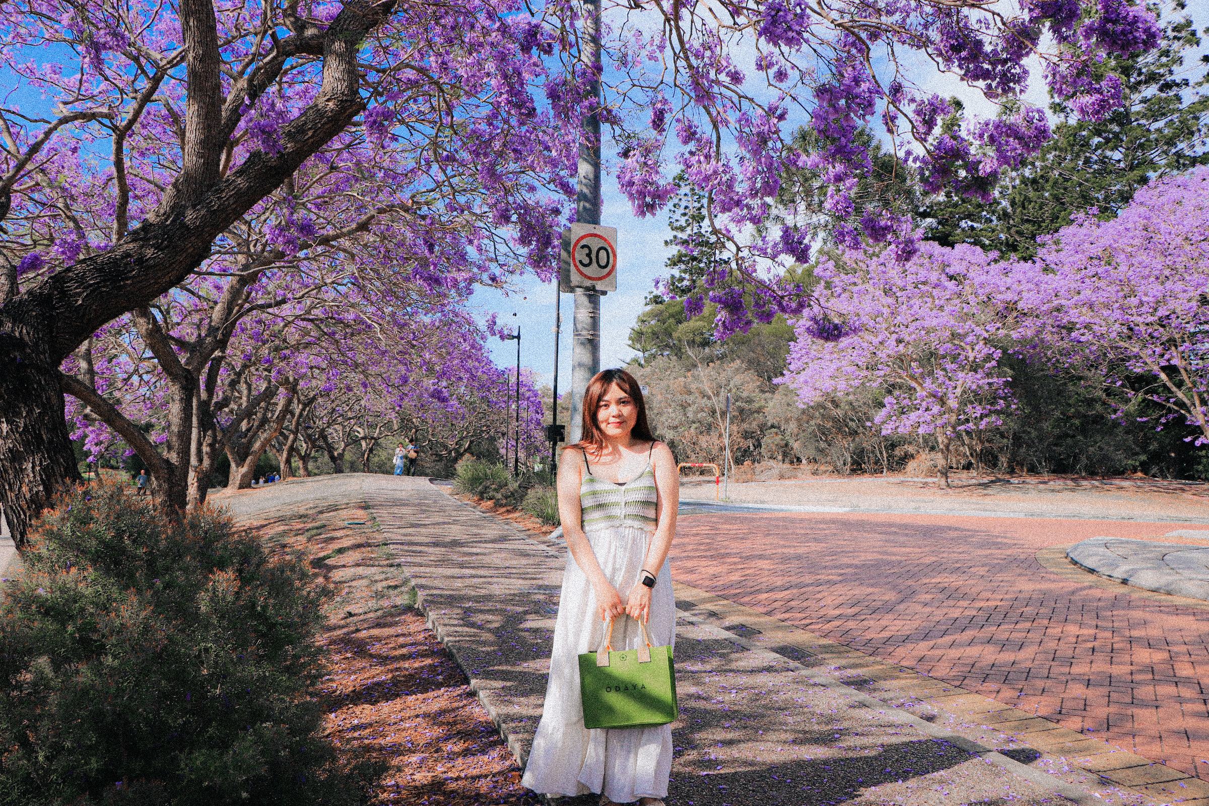 回到母校澳洲昆士蘭大學UQ!Campus tour徜徉在Jacaranda紫色隧道中 - 第8張圖 回到母校澳洲昆士蘭大學UQ!Campus tour徜徉在Jacaranda紫色隧道中