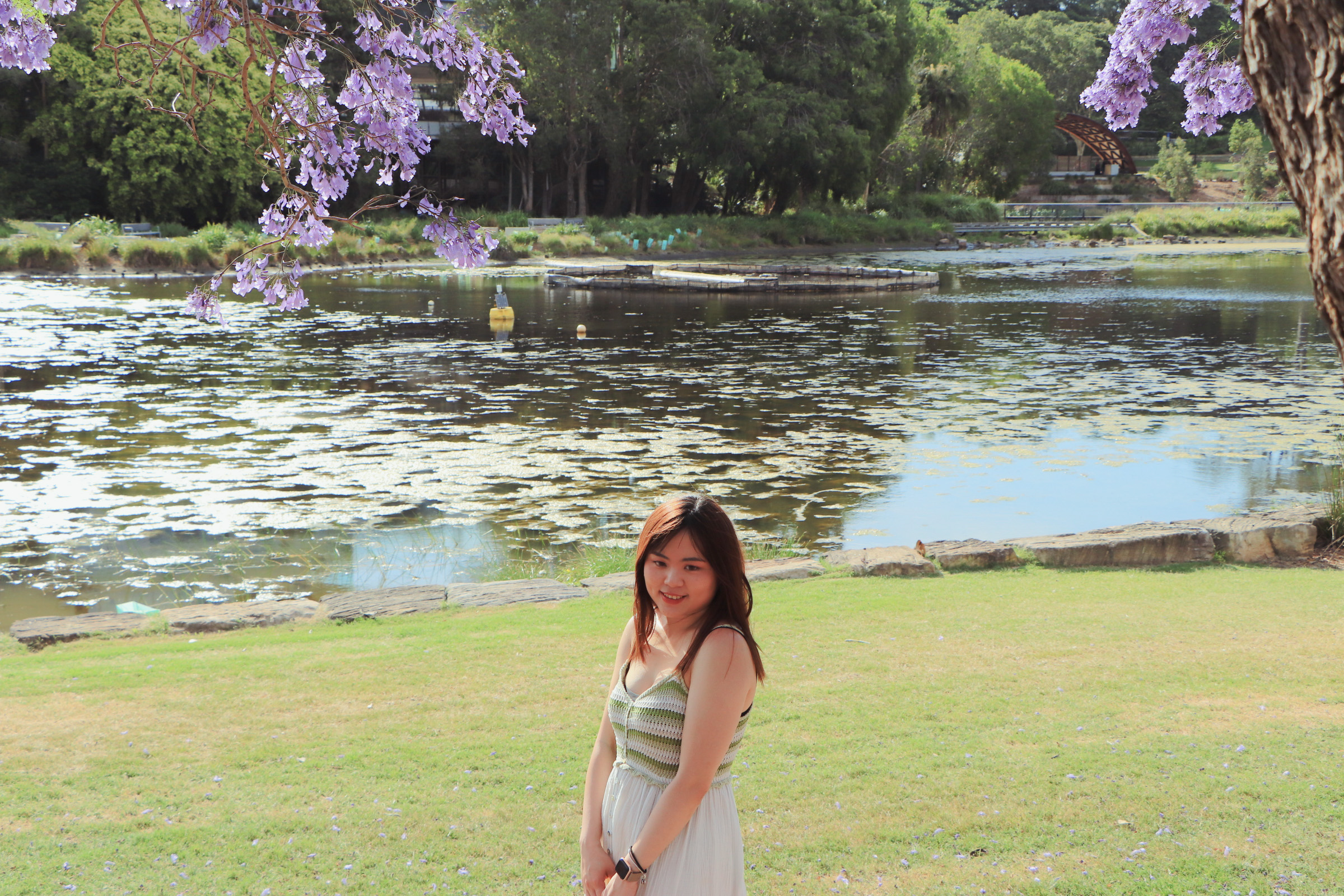 回到母校澳洲昆士蘭大學UQ!Campus tour徜徉在Jacaranda紫色隧道中 - 第5張圖 回到母校澳洲昆士蘭大學UQ!Campus tour徜徉在Jacaranda紫色隧道中