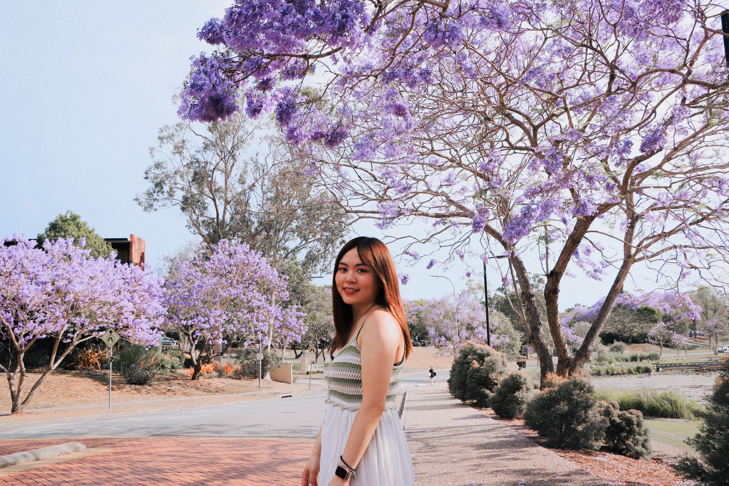回到母校澳洲昆士蘭大學UQ!Campus tour徜徉在Jacaranda紫色隧道中 - 第7張圖 回到母校澳洲昆士蘭大學UQ!Campus tour徜徉在Jacaranda紫色隧道中
