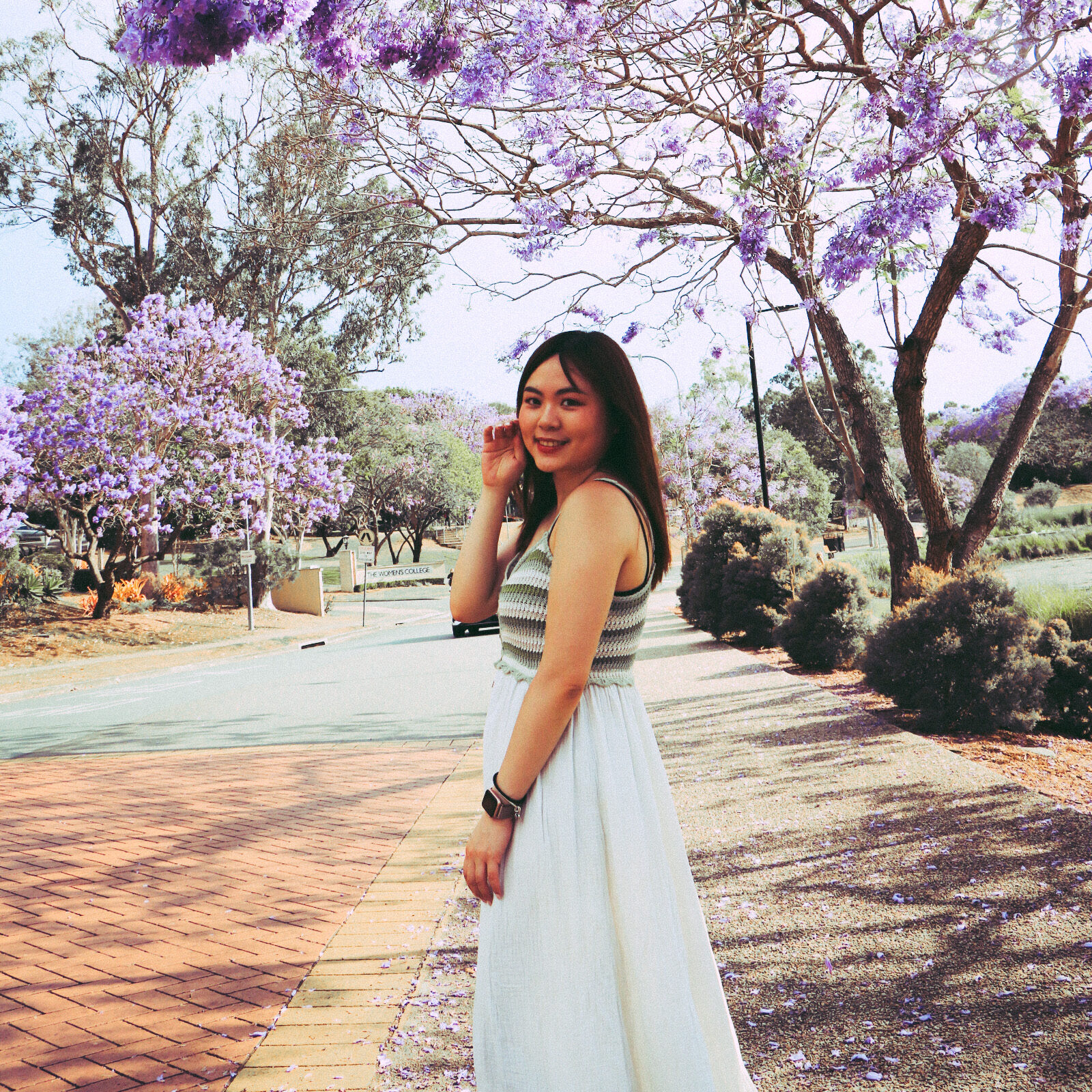 回到母校昆士蘭大學UQ！澳洲留學生活徜徉在Jacaranda紫色隧道中