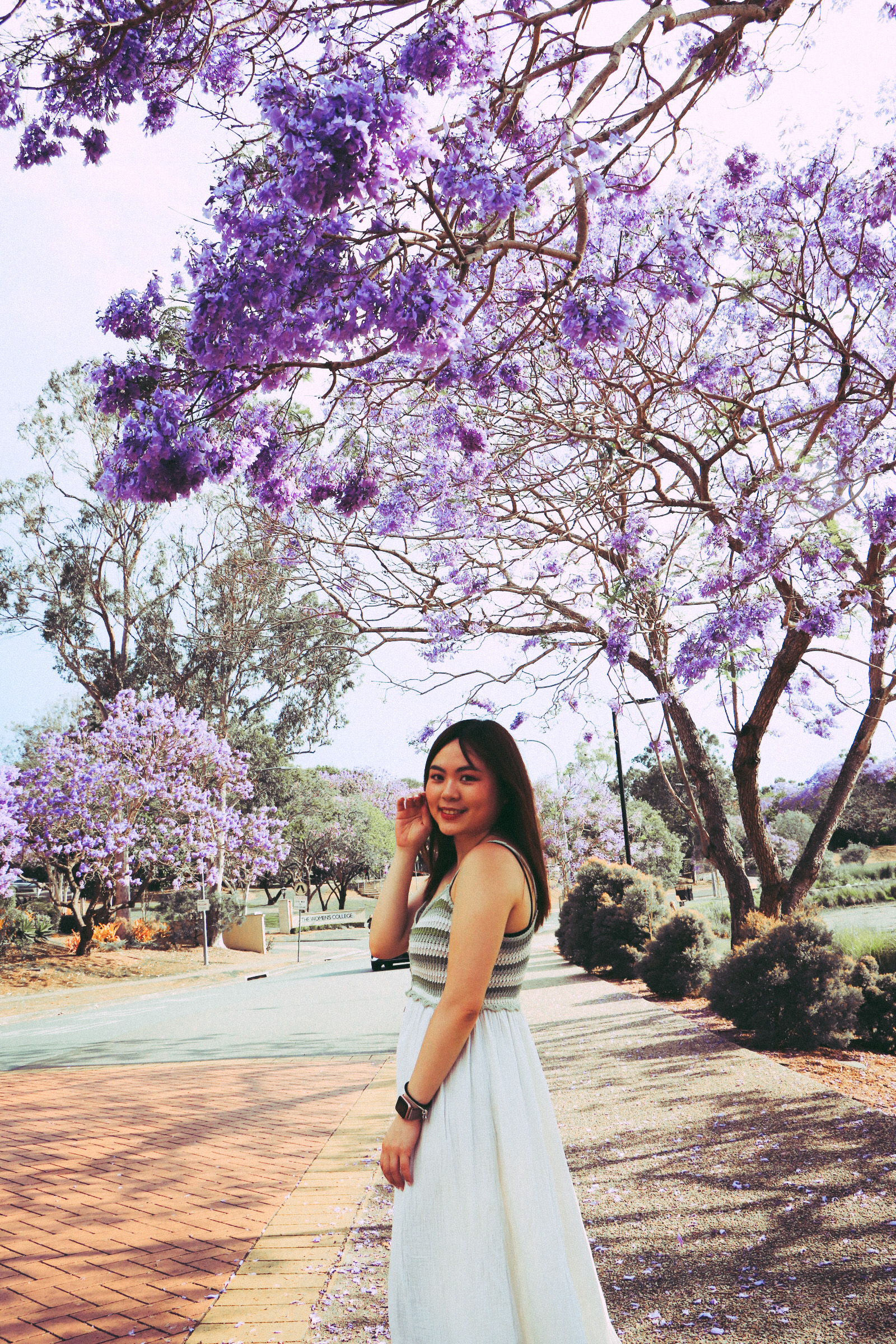 回到母校澳洲昆士蘭大學UQ!Campus tour徜徉在Jacaranda紫色隧道中 - 第12張圖 回到母校澳洲昆士蘭大學UQ!Campus tour徜徉在Jacaranda紫色隧道中