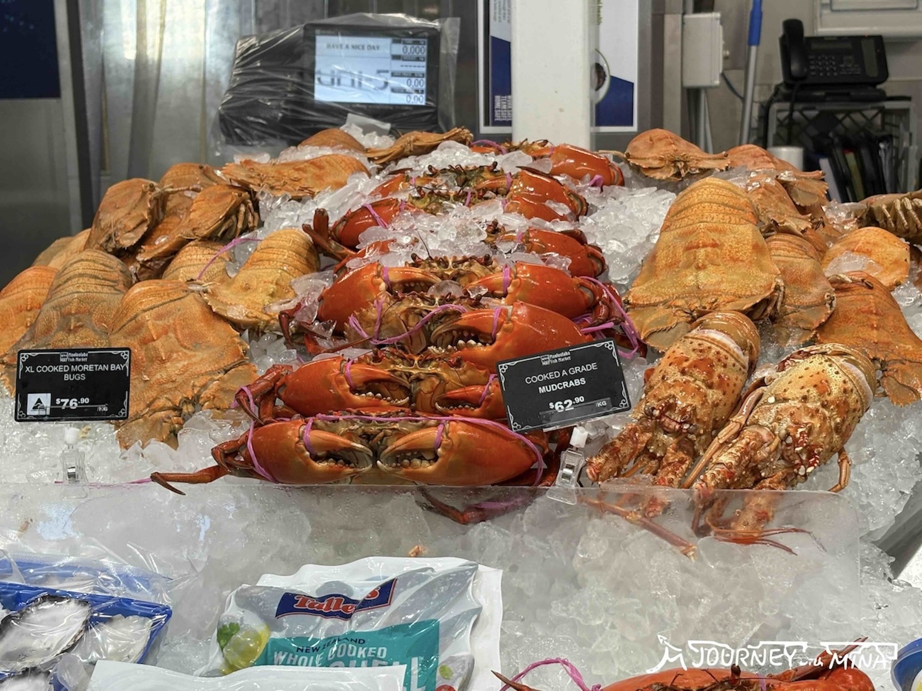陽光海岸必去景點Mooloolaba Beach半日遊！海灘愜意慢活的下午