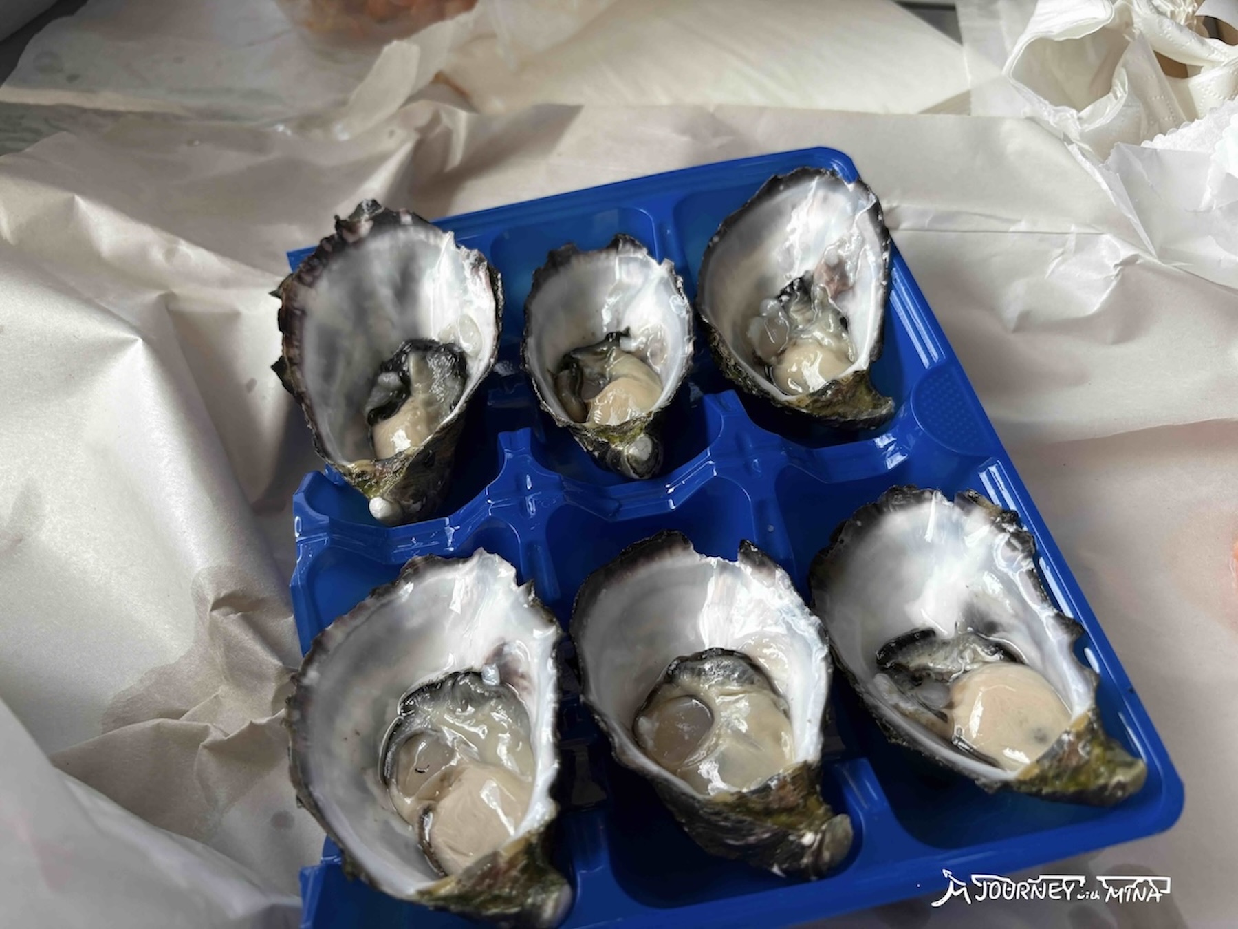 陽光海岸必去景點Mooloolaba Beach半日遊！海灘愜意慢活的下午