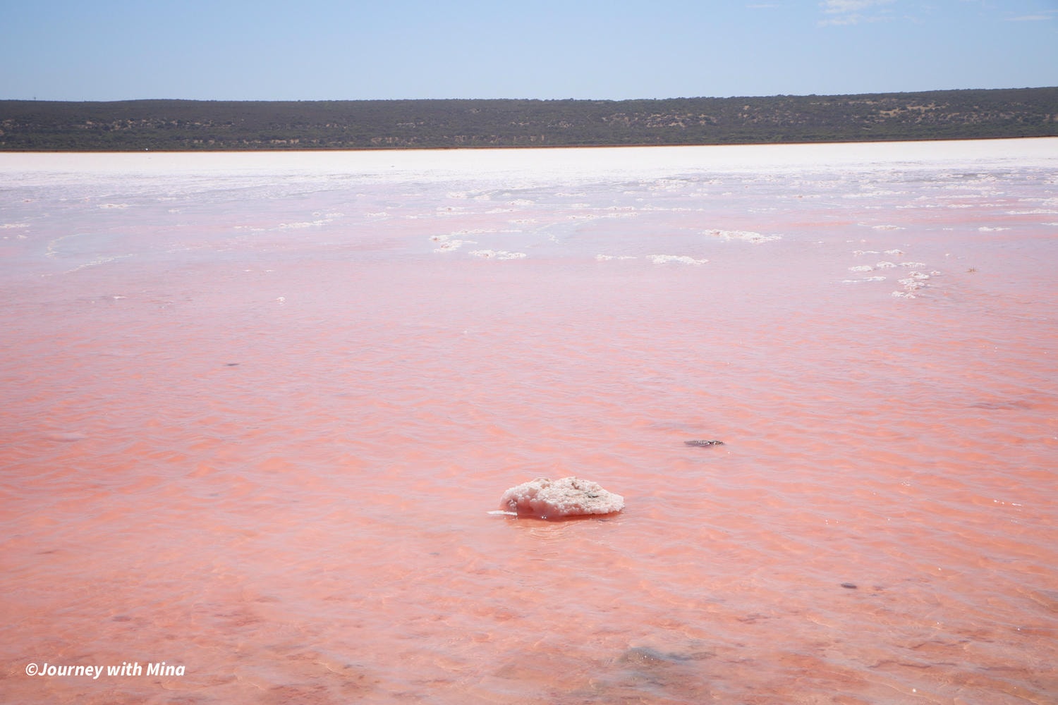 澳洲粉紅湖 西澳景點 Hutt Lagoon pink lake