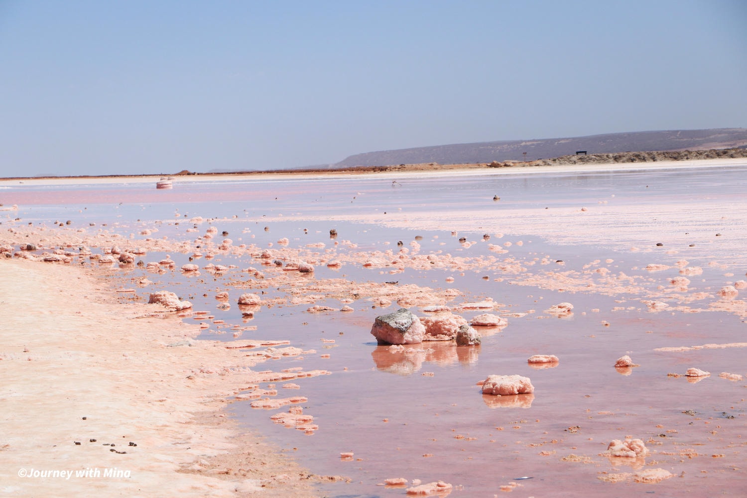 澳洲粉紅湖 西澳景點 Hutt Lagoon pink lake