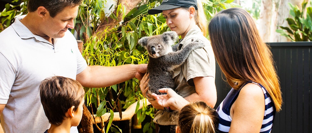漢密爾頓島美食 4: Wildlife Hamilton Island Cafe 漢密爾頓島野生動物園咖啡廳