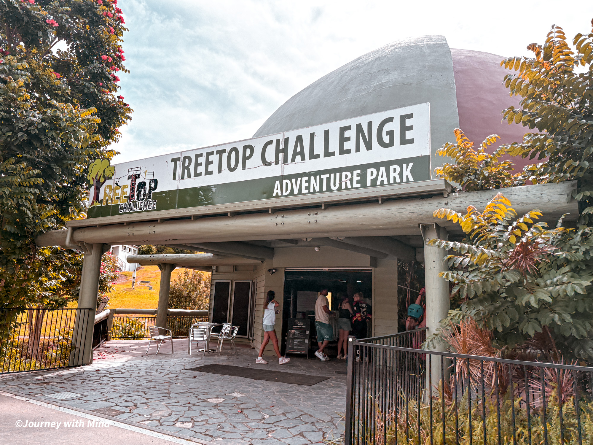 相見恨晚的澳洲極限運動！Tree Top Challenge 遊記特色/交通/門票（陽光海岸大鳳梨）