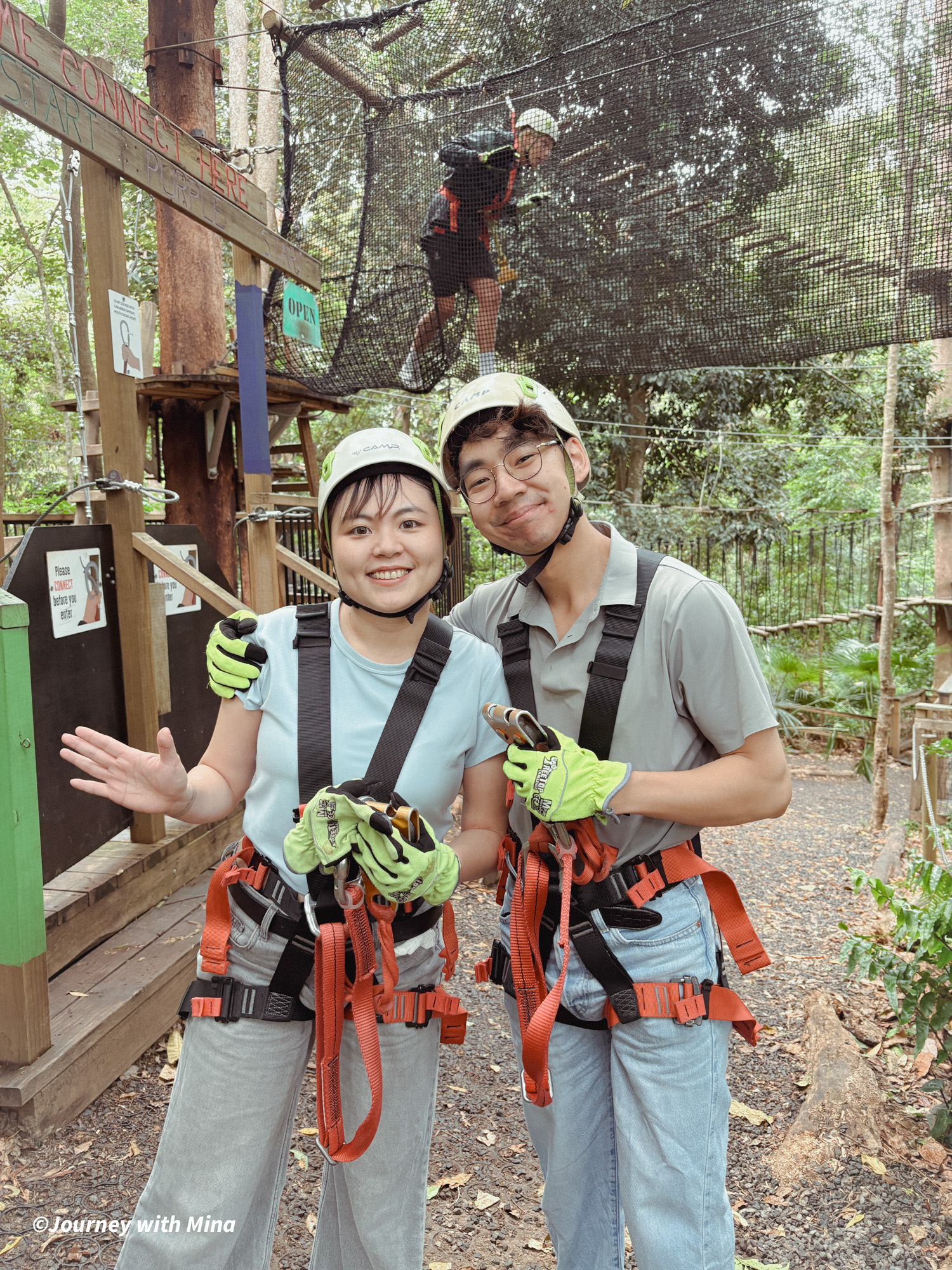 相見恨晚的澳洲極限運動！Tree Top Challenge 遊記特色/交通/門票（陽光海岸大鳳梨）