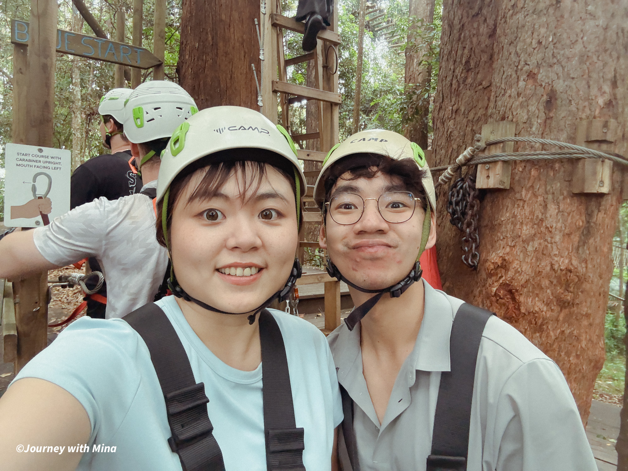 相見恨晚的澳洲極限運動！Tree Top Challenge 遊記特色/交通/門票（陽光海岸大鳳梨）