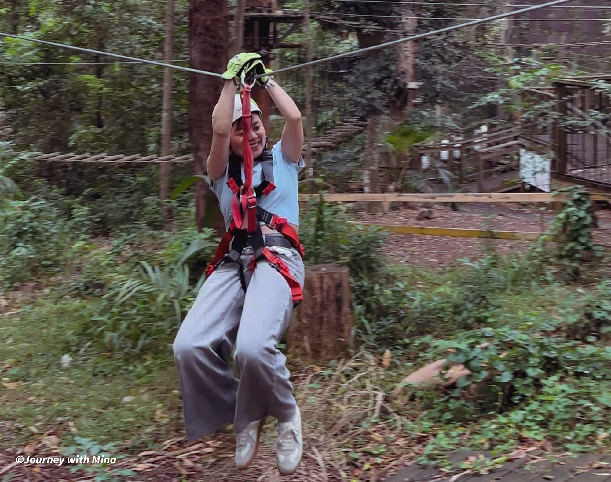 相見恨晚的澳洲極限運動！Tree Top Challenge 遊記特色/交通/門票（陽光海岸大鳳梨）